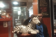 Zebre2